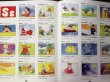 画像5: こどものためのアラビア語イラスト事典 Arabic Picture Dictionary for Kids  (5)