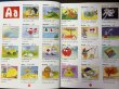 画像3: こどものためのアラビア語イラスト事典 Arabic Picture Dictionary for Kids  (3)