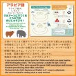 画像4: イーマーン☆キッズ　タムル　なつ号　Iman☆Kids Tamur (Summer Issue) シール付き (4)